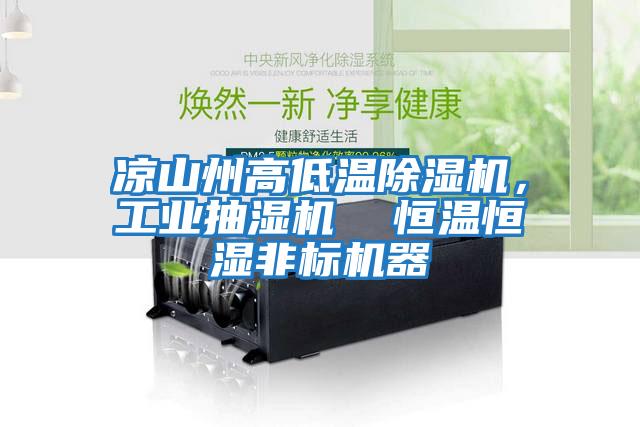 涼山州高低溫除濕機，工業(yè)抽濕機  恒溫恒濕非標機器