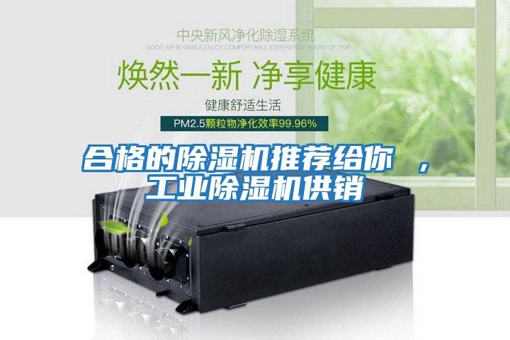 合格的除濕機推薦給你 ，工業(yè)除濕機供銷