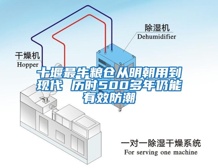 十堰最牛糧倉從明朝用到現(xiàn)代 歷時(shí)500多年仍能有效防潮