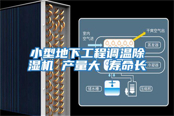 小型地下工程調(diào)溫除濕機(jī) 產(chǎn)量大 壽命長(zhǎng)