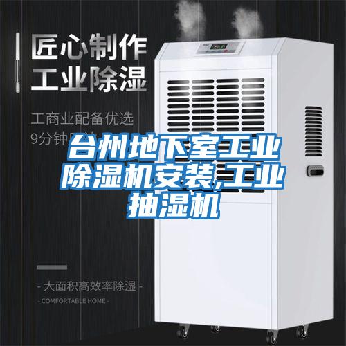 臺州地下室工業(yè)除濕機(jī)安裝,工業(yè)抽濕機(jī)