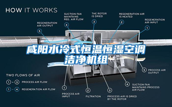 咸陽水冷式恒溫恒濕空調(diào)潔凈機(jī)組