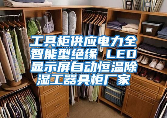 工具柜供應(yīng)電力全智能型絕緣 LED顯示屏自動(dòng)恒溫除濕工器具柜廠家