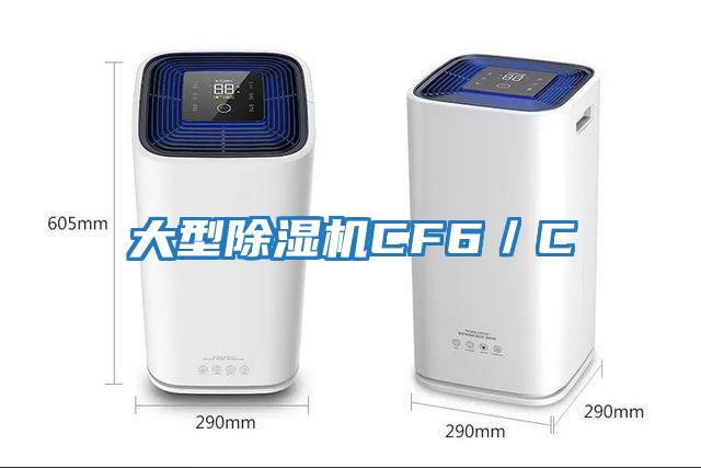 大型除濕機(jī)CF6／C