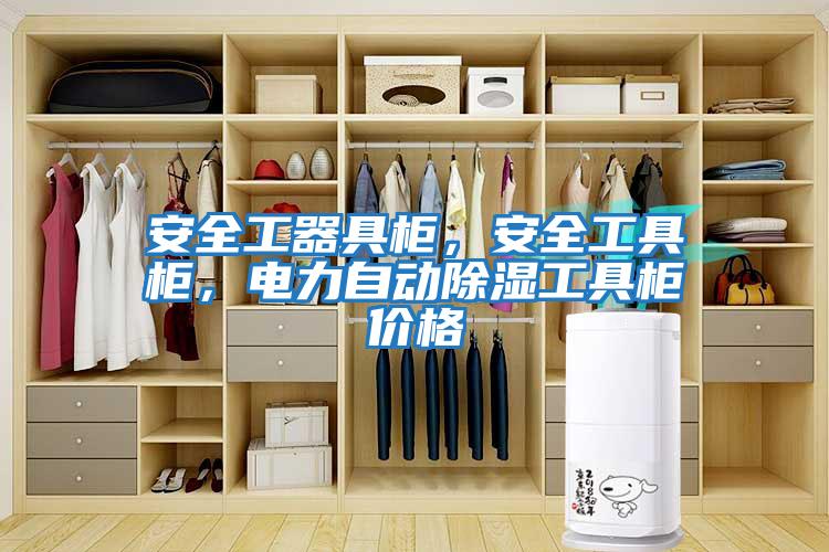 安全工器具柜，安全工具柜，電力自動除濕工具柜價格