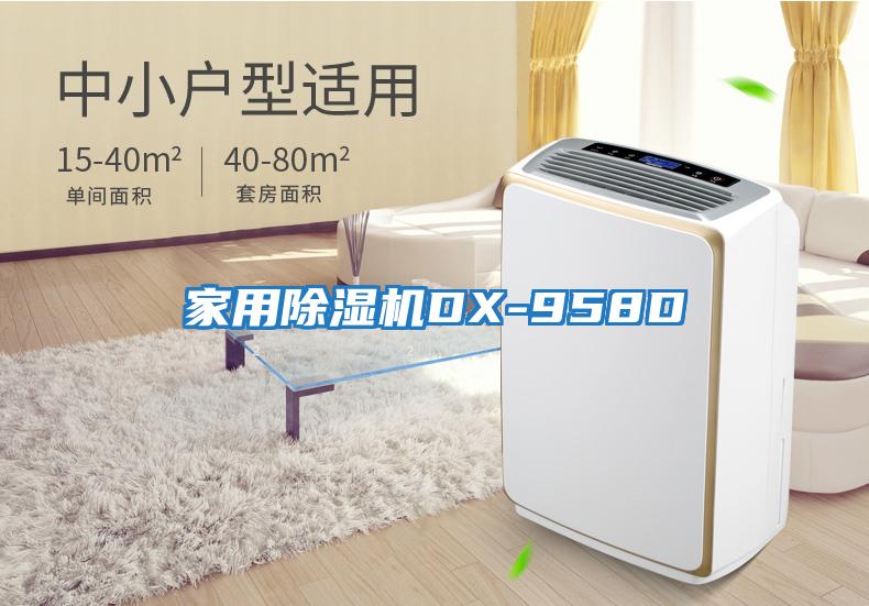 家用除濕機DX-958D