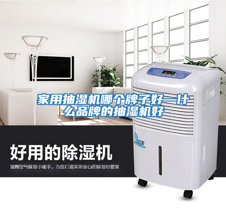 家用抽濕機哪個牌子好—什么品牌的抽濕機好