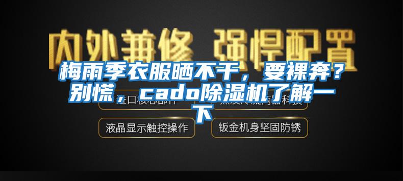 梅雨季衣服曬不干，要裸奔？別慌，cado除濕機(jī)了解一下