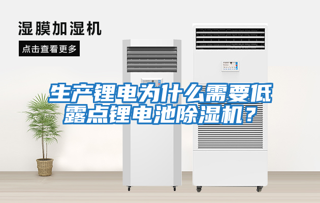 生產(chǎn)鋰電為什么需要低露點鋰電池除濕機？