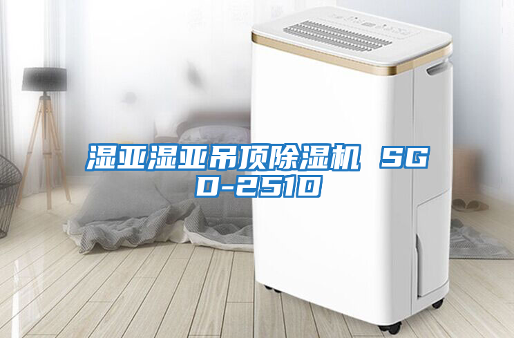 濕亞濕亞吊頂除濕機 SGD-251D