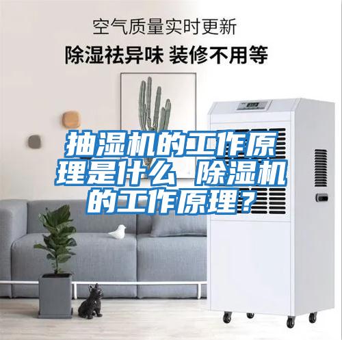 抽濕機的工作原理是什么 除濕機的工作原理？