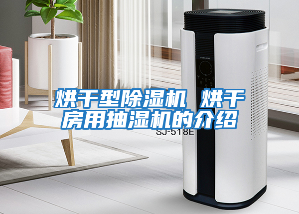 烘干型除濕機 烘干房用抽濕機的介紹