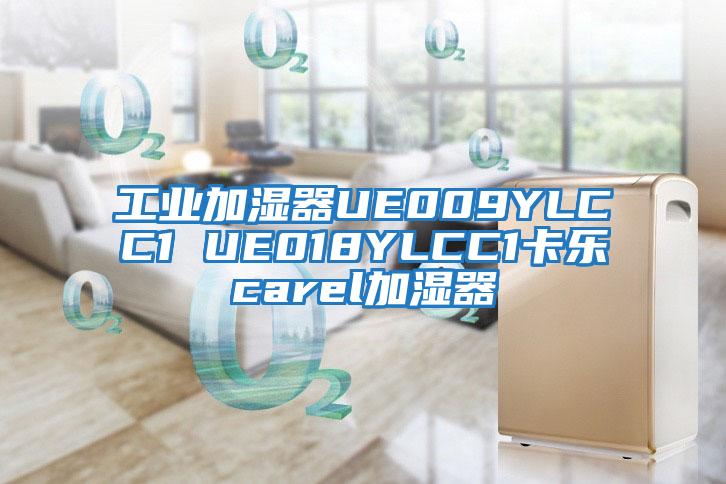 工業(yè)加濕器UE009YLCC1 UE018YLCC1卡樂carel加濕器