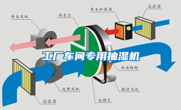 工廠車間專用抽濕機(jī)