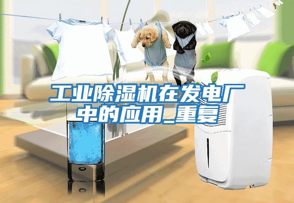 工業(yè)除濕機在發(fā)電廠中的應(yīng)用_重復(fù)