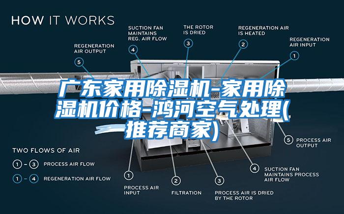 廣東家用除濕機(jī)-家用除濕機(jī)價格-鴻河空氣處理(推薦商家)