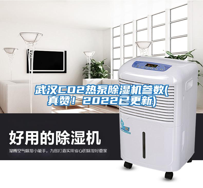 武漢CO2熱泵除濕機(jī)參數(shù)(真贊！2022已更新)