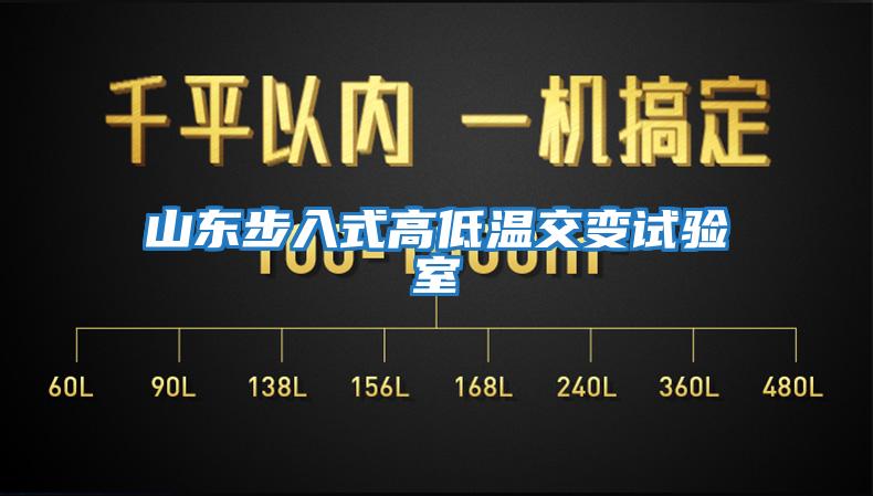 山東步入式高低溫交變試驗室