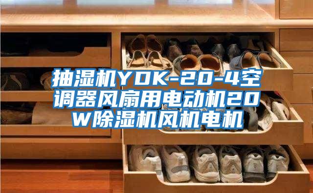 抽濕機(jī)YDK-20-4空調(diào)器風(fēng)扇用電動(dòng)機(jī)20W除濕機(jī)風(fēng)機(jī)電機(jī)