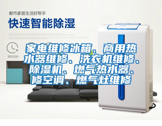 家電維修冰箱、商用熱水器維修、洗衣機(jī)維修、除濕機(jī)、燃?xì)鉄崴鳌⑿蘅照{(diào)、燃?xì)庠罹S修