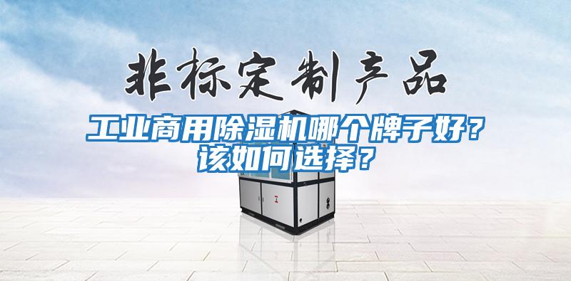 工業(yè)商用除濕機(jī)哪個牌子好？該如何選擇？