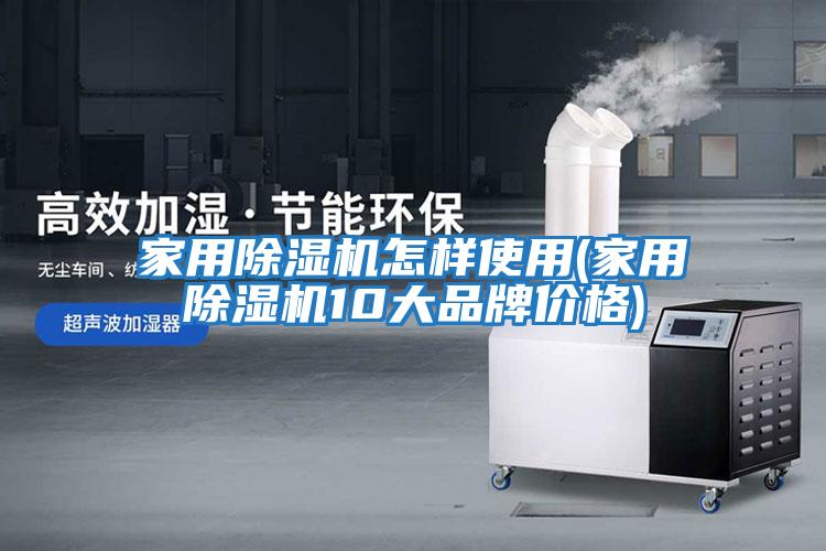 家用除濕機怎樣使用(家用除濕機10大品牌價格)