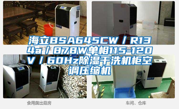 海立BSA645CW／R134a／878W單相115-120V／60Hz除濕干洗機柜空調(diào)壓縮機