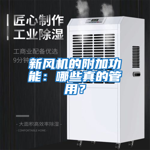 新風機的附加功能：哪些真的管用？