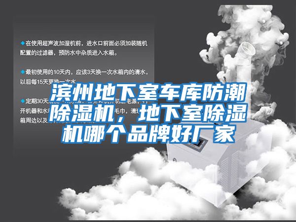 濱州地下室車庫防潮除濕機，地下室除濕機哪個品牌好廠家