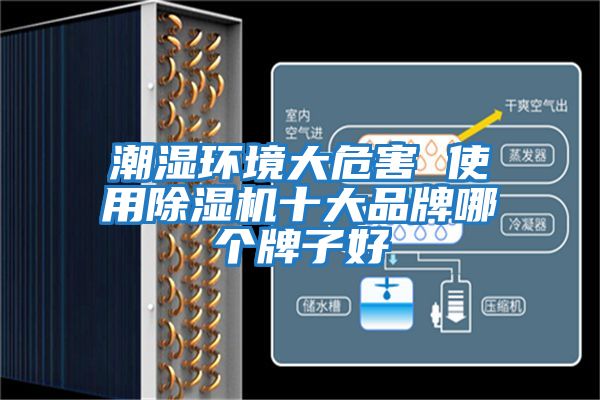 潮濕環(huán)境大危害 使用除濕機十大品牌哪個牌子好