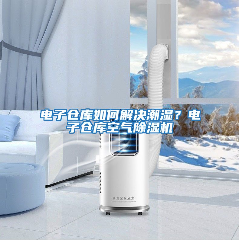 電子倉庫如何解決潮濕？電子倉庫空氣除濕機(jī)