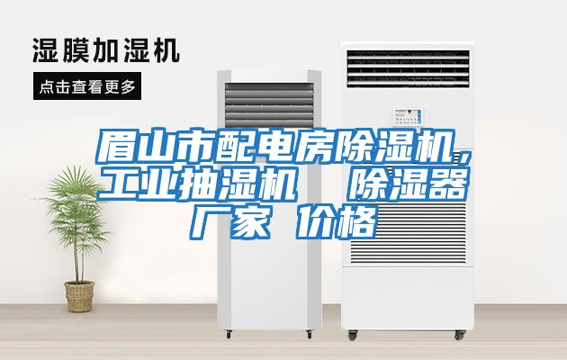 眉山市配電房除濕機(jī)，工業(yè)抽濕機(jī)  除濕器廠家 價(jià)格