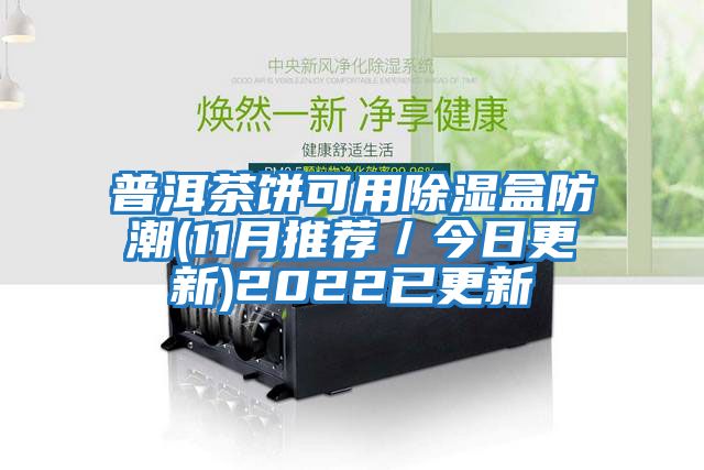 普洱茶餅可用除濕盒防潮(11月推薦／今日更新)2022已更新