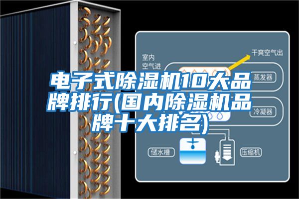 電子式除濕機10大品牌排行(國內(nèi)除濕機品牌十大排名)