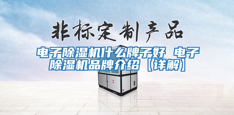 電子除濕機(jī)什么牌子好 電子除濕機(jī)品牌介紹【詳解】