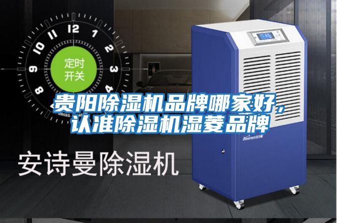 貴陽除濕機品牌哪家好，認準(zhǔn)除濕機濕菱品牌