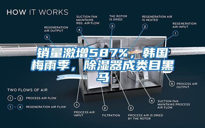 銷量激增587%，韓國梅雨季，除濕器成類目黑馬