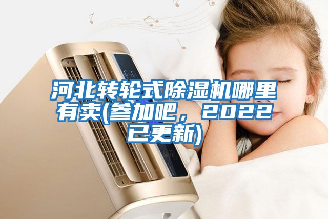 河北轉(zhuǎn)輪式除濕機(jī)哪里有賣(參加吧，2022已更新)