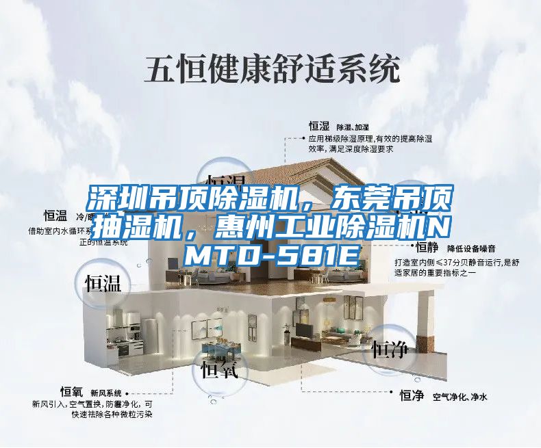 深圳吊頂除濕機，東莞吊頂抽濕機，惠州工業(yè)除濕機NMTD-581E