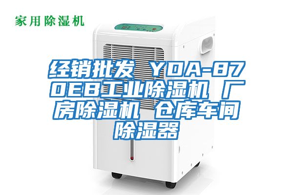 經銷批發(fā) YDA-870EB工業(yè)除濕機 廠房除濕機 倉庫車間除濕器