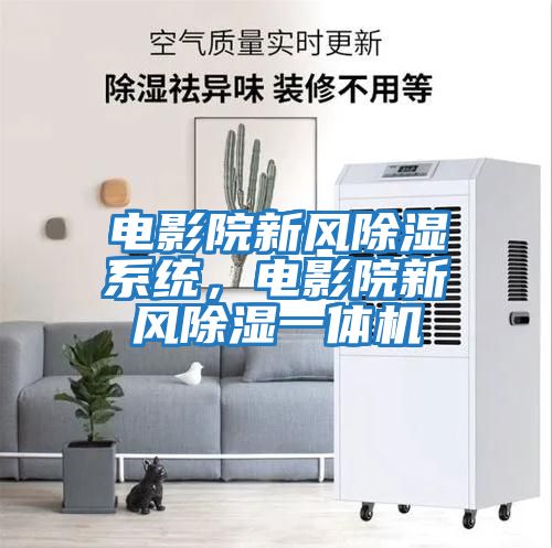 電影院新風(fēng)除濕系統(tǒng)，電影院新風(fēng)除濕一體機