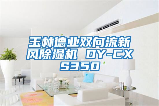 玉林德業(yè)雙向流新風(fēng)除濕機 DY-CXS350