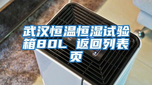 武漢恒溫恒濕試驗箱80L 返回列表頁