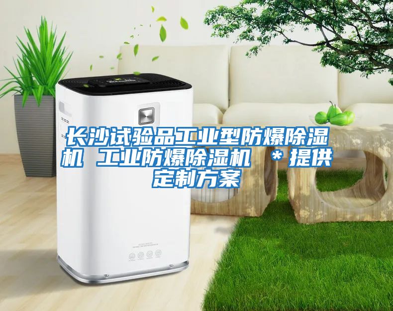 長沙試驗(yàn)品工業(yè)型防爆除濕機(jī) 工業(yè)防爆除濕機(jī) ＊提供定制方案