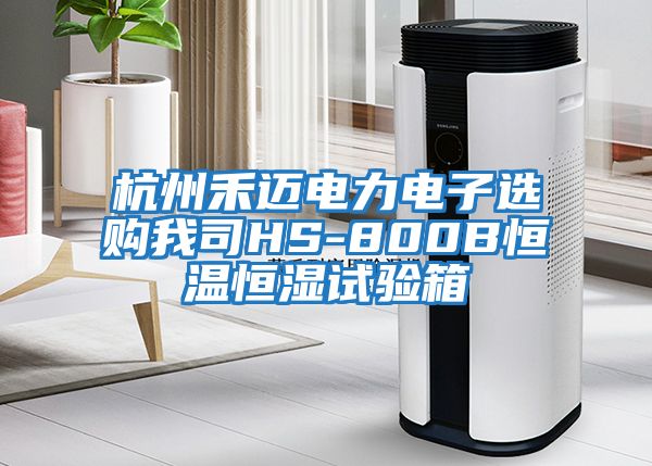 杭州禾邁電力電子選購(gòu)我司HS-800B恒溫恒濕試驗(yàn)箱