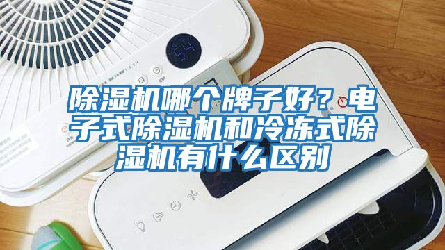 除濕機哪個牌子好？電子式除濕機和冷凍式除濕機有什么區(qū)別