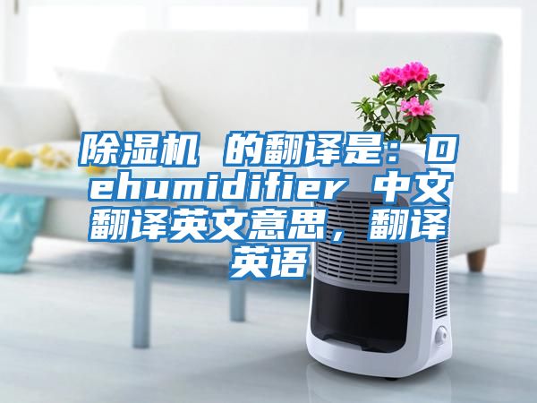 除濕機 的翻譯是：Dehumidifier 中文翻譯英文意思，翻譯英語