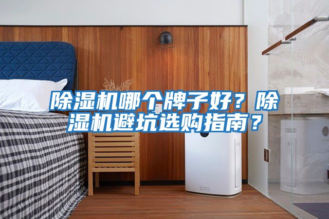 除濕機哪個牌子好？除濕機避坑選購指南？