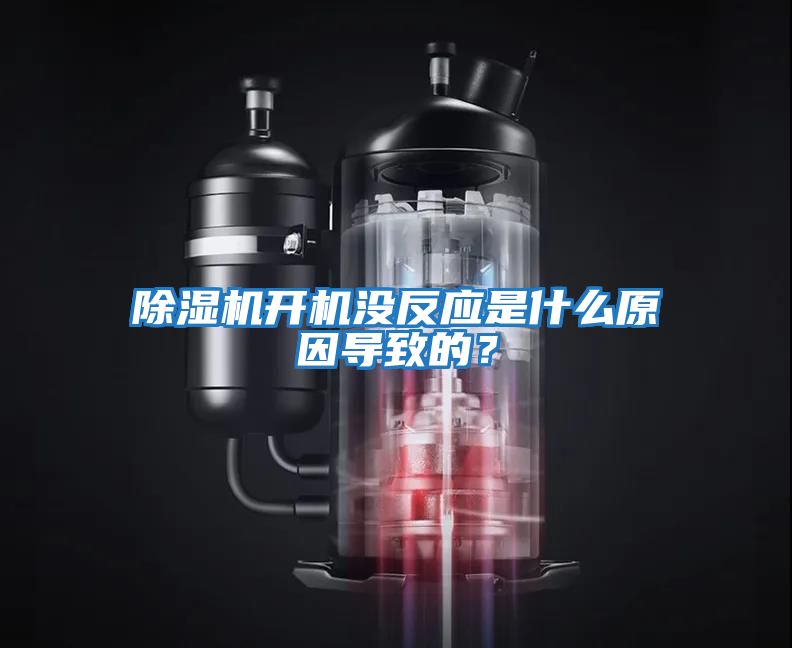 除濕機開機沒反應(yīng)是什么原因?qū)е碌模?/></p>
						    <p style=