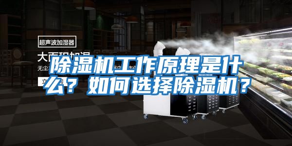 除濕機(jī)工作原理是什么？如何選擇除濕機(jī)？